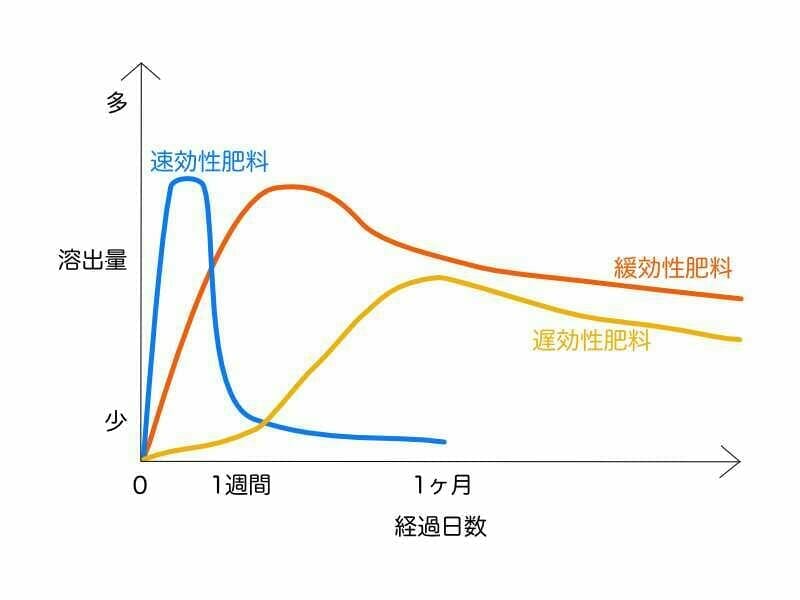 速効性肥料と緩効性肥料、遅効性肥料の効き方の違いのイメージ