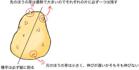 読めば流れがわかる ジャガイモの栽培方法 農家web