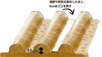 じゃがいも栽培の土作り、溝掘りと元肥入れ