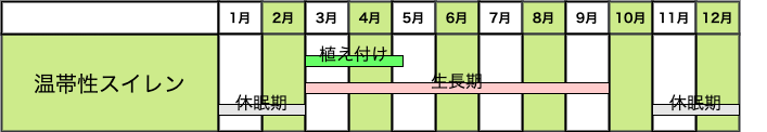 睡蓮 スイレン におすすめの肥料は 睡蓮の肥料の与え方 農家web