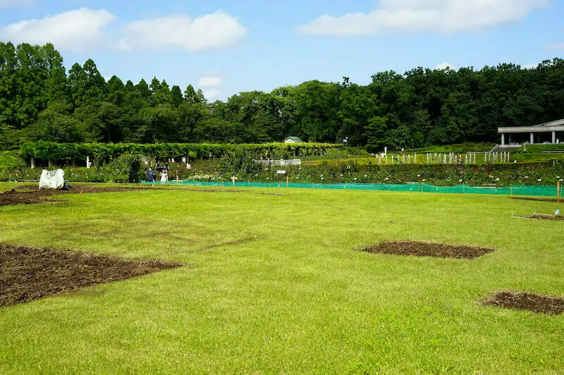 芝生の除草剤を撒くのにベストな時期は 撒くときに気をつけるポイントも合わせて紹介 農家web