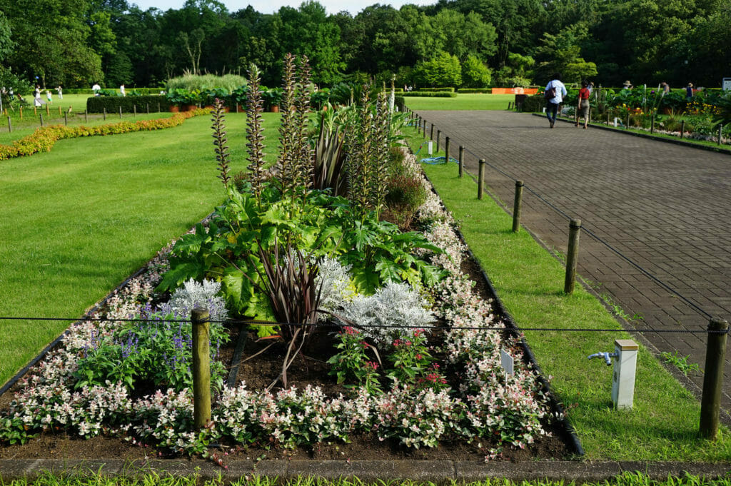 花壇の植物におすすめの肥料は 初心者にも扱いやすい肥料5選 農家web