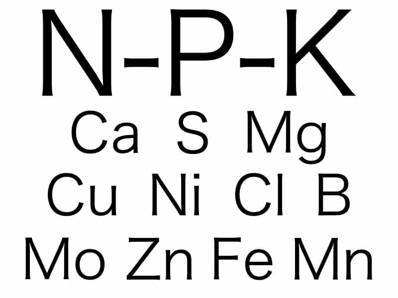 肥料の三大栄養素、多量要素、微量要素の元素記号