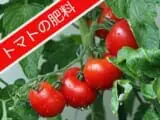 植物の組織を作る栄養素 カルシウム肥料の基本 農家web 植物の組織を作る栄養素 カルシウム肥料の基本 農家web