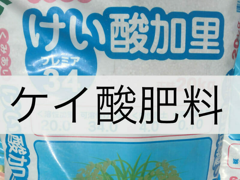 ケイ酸肥料について知りたい方向けのバナー