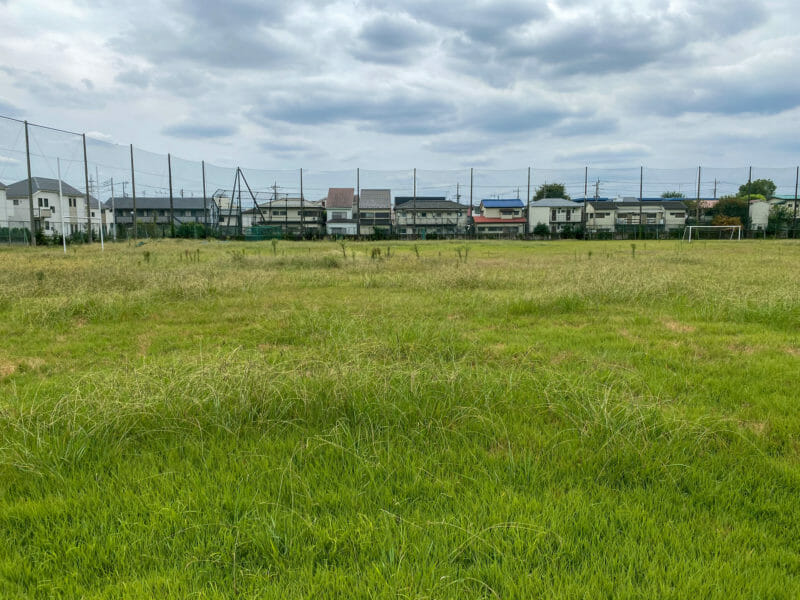 芝生に生える厄介な芝生雑草について 種類 生態から防除方法まで徹底解説 農家web