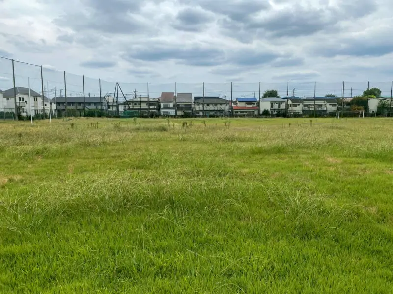 芝生を枯らす除草剤はどれがベストか 農家web
