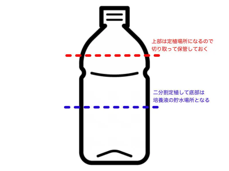 イチゴの水耕栽培とは 家庭でできるイチゴの水耕栽培のポイントを解説 農家web