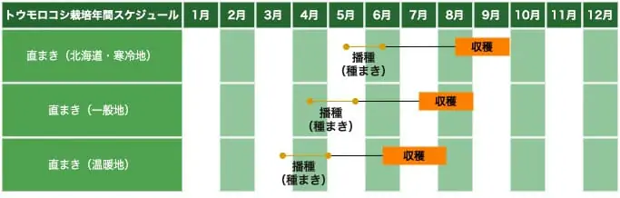 読めば流れがわかる トウモロコシ とうもろこし の基礎知識と栽培方法の基本 農家web