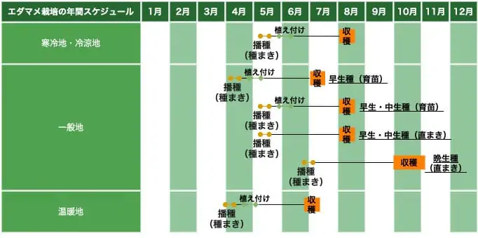 読めば流れがわかる エダマメ 枝豆 の基礎知識と栽培方法の基本 農家web