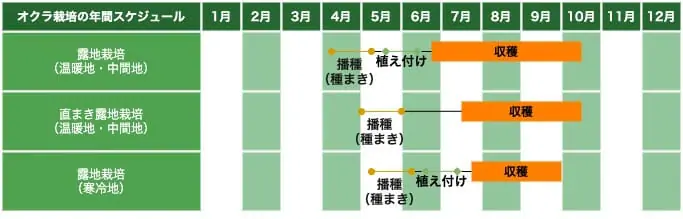 読めば流れがわかる オクラの基礎知識と栽培方法の基本 農家web 読めば流れがわかる オクラの基礎知識と栽培方法の基本 農家web