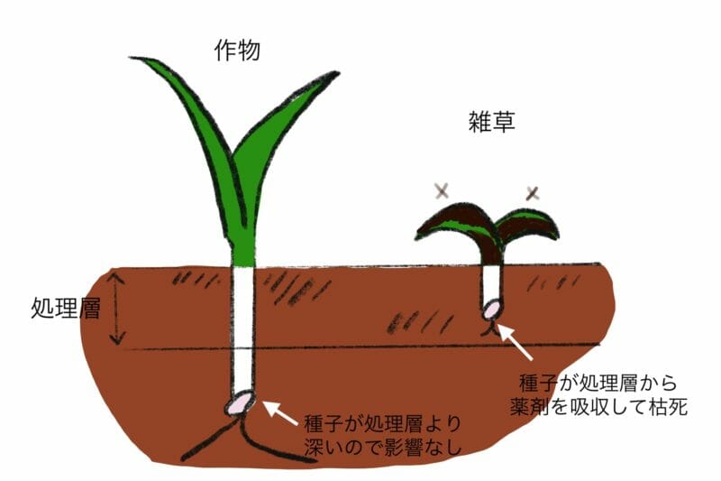 土壌処理剤の雑草抑制の仕組みを図で表しています