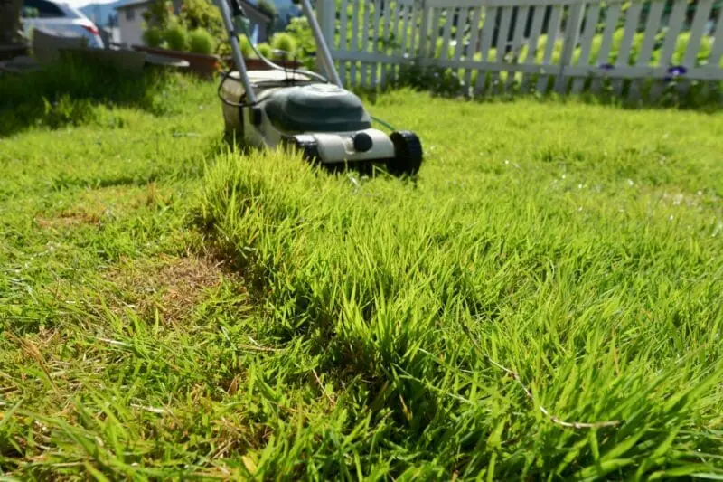 初心者も安心！おすすめ芝刈り機をタイプ別にご紹介！ | 農家web