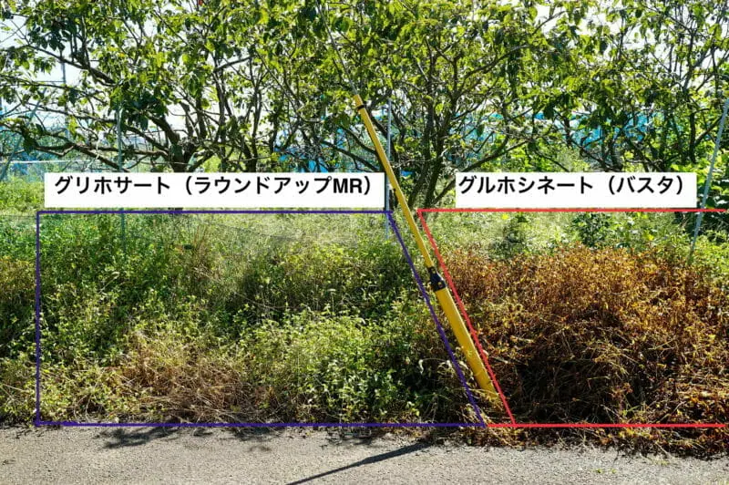 除草剤バスタについて徹底解説！ | 農家web