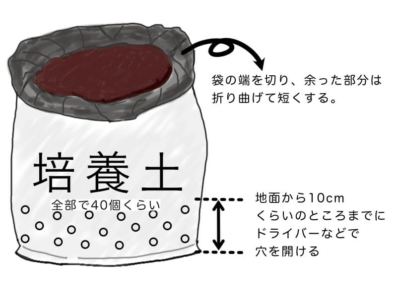 袋栽培に使う袋の準備