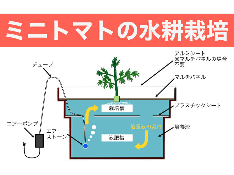 ミニトマトの水耕栽培のバナーです。