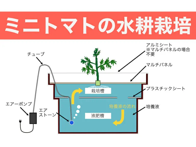 家庭でできるミニトマトの水耕栽培 水耕栽培キットをご紹介 農家web