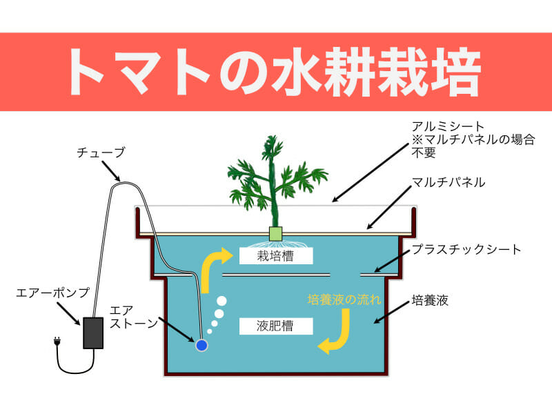 トマトの水耕栽培のバナーです。