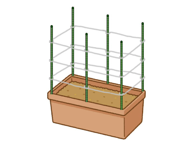 プランターにおける支柱の立て方で、あんどん式に組んだ様子を表した画像です。