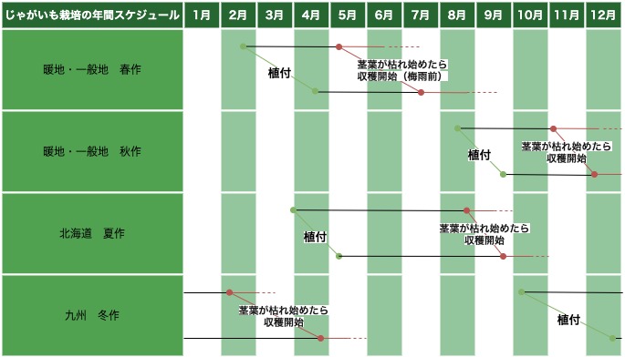 ジャガイモの栽培スケジュールのカレンダーです。