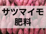 プランターでも育てられる 手軽にできるサツマイモの栽培方法 農家web