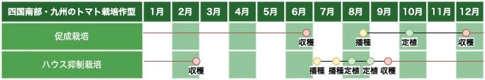 四国南部・九州のトマト栽培の作型の例です。