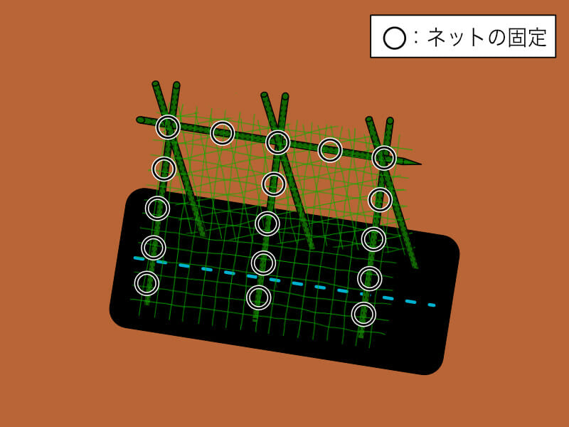 園芸ネットの張り方を示した画像です。