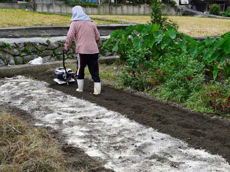 人気海外一番 耕運機 家庭用 手動 手押し 手動式耕運機 耕うん機 農機具 除草 土 畑 田んぼ 耕す 耕耘機 農業 家庭菜園 管理機 農業機材  農業機械