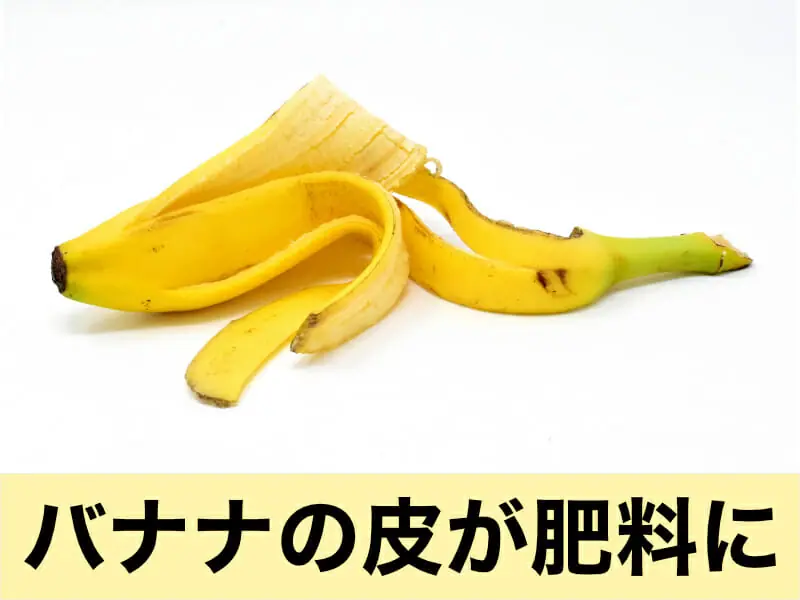 バナナの皮 再利用