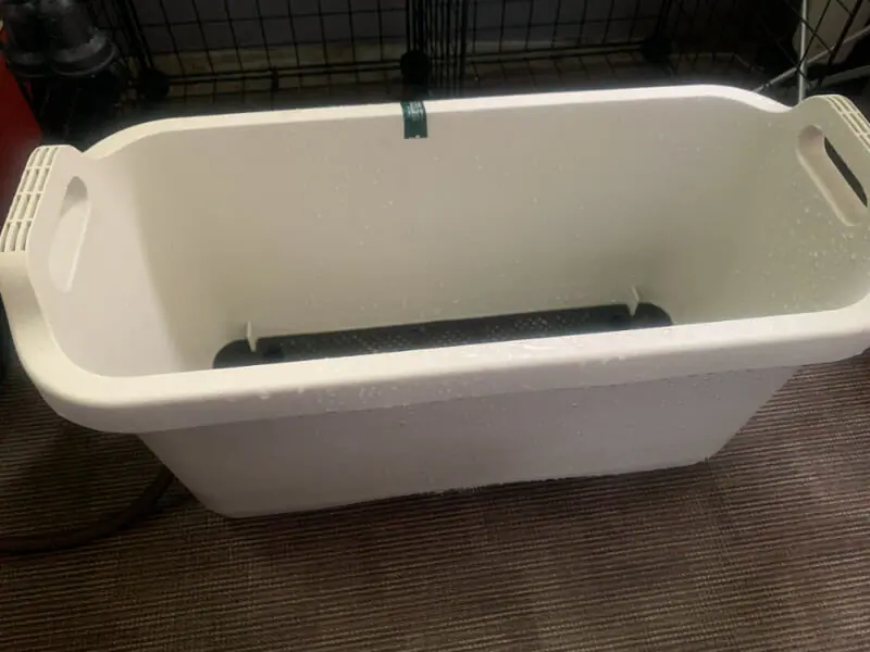 プランターでも育てられる 手軽にできるサツマイモの栽培方法 農家web