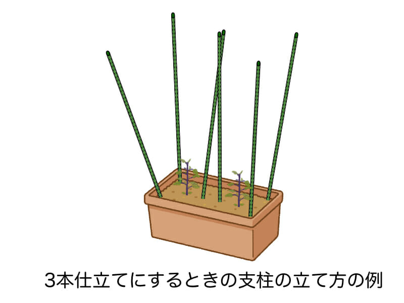 ナスのプランター栽培において3本仕立てをするときの支柱を立てる様子を示したイラストです。