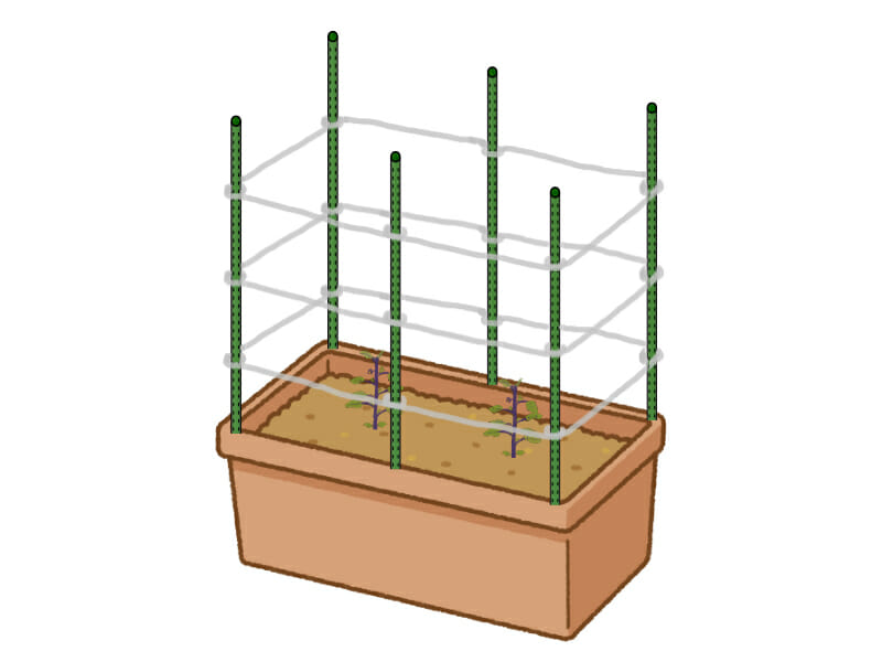ナスのプランター栽培においてあんどん式（リング式）の方法で支柱を立てる様子を示したイラストです。