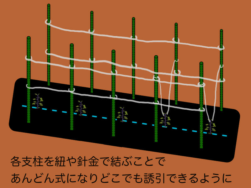 あんどん式を利用したナスの支柱の立て方、整枝方法を示したイラストです。