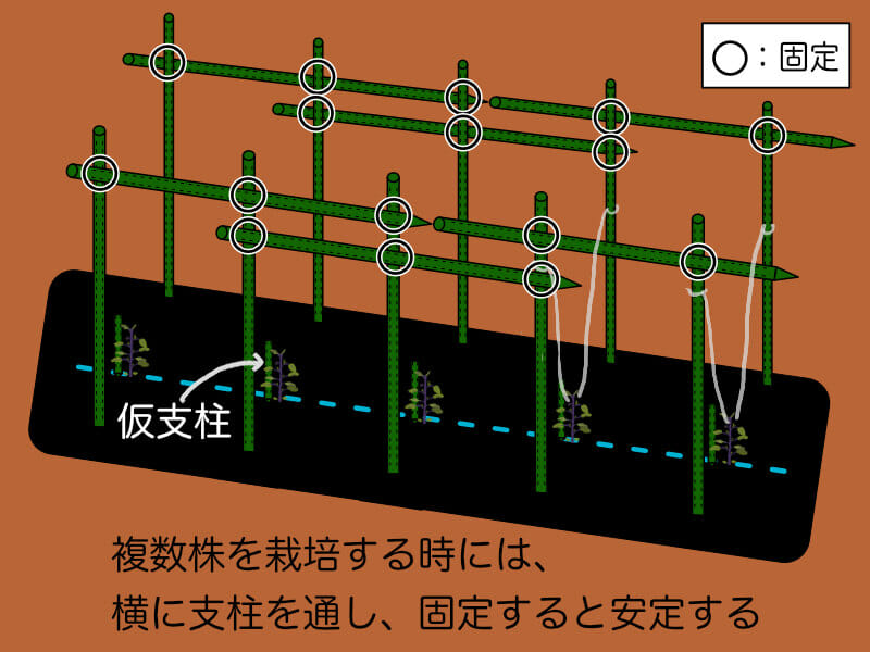 直立式の立て方に対して、強度を持たせるために横に支柱を通し固定する様子を示した画像です。