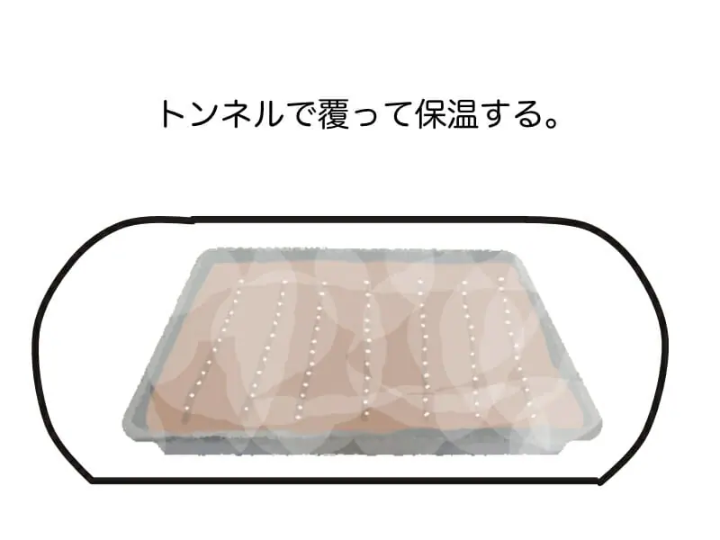 読めば流れがわかる ピーマンの基礎知識と栽培方法の基本とコツ 農家web