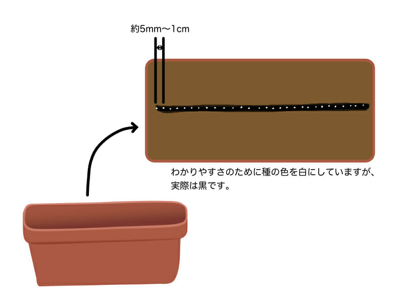 葉ネギ（万能ねぎ・九条ネギ）のプランター栽培における種まきを示したイラストです。5mm〜1cm間隔で条播きします。