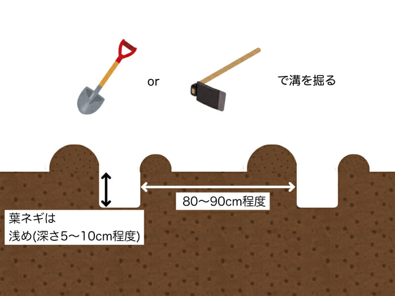 葉ネギ（万能ねぎ、九条ネギ）の植え溝の掘り方を示した画像です。深さは浅めで5cm〜10cm程度とし、スコップやクワで掘ります。溝と溝の間は80cm〜90cm程度あけます。