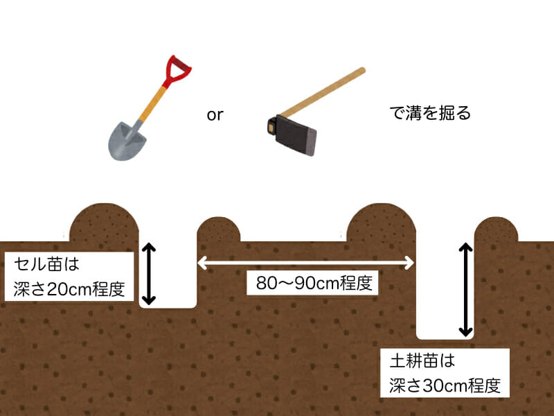 根深ネギ（長ネギ）の植え溝の掘り方を示した画像です。深さはセル苗の場合20cm程度、土耕苗の場合30cm程度とし、スコップやクワで掘ります。溝と溝の間は80cm〜90cm程度あけます。