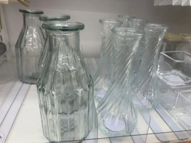 手軽で簡単 100均だけで始められるサボテンの水栽培 農家web