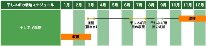 九条ネギ 九条太ネギ を使った干しネギ栽培の方法とポイント 農家web