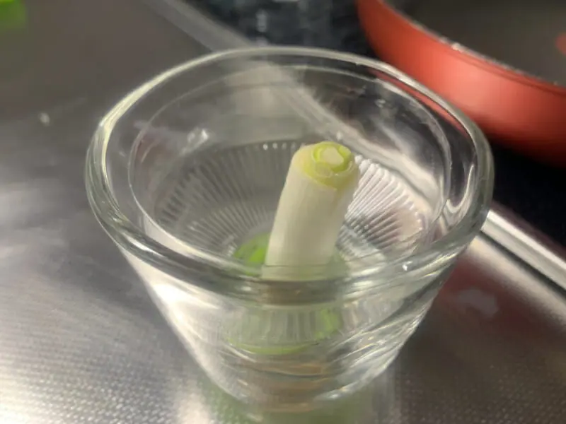 ネギを水で育てる ネギの水耕栽培方法 農家web ネギを水で育てる ネギの水耕栽培方法 農家web