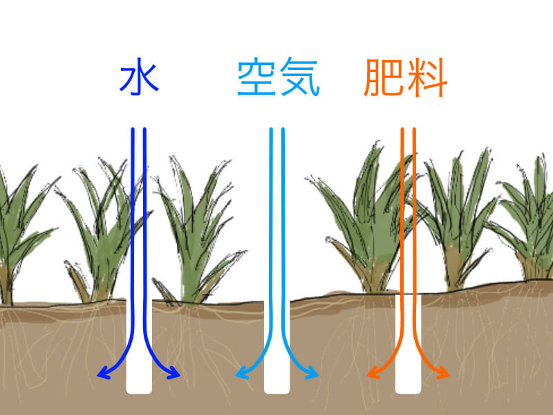 芝生のエアレーションを行うことによる効果を示したイラストです。エアレーションをすることで水、空気、肥料が浸透しやすくなります。