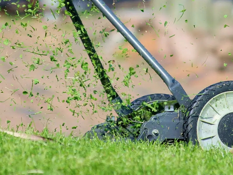 芝生の軸刈り ジク刈り とは 原因と対処法 農家web