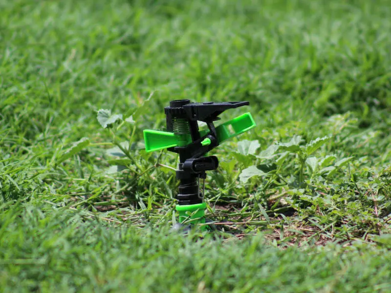 芝生が枯れた 芝生が茶色になる理由とその対処法 農家web