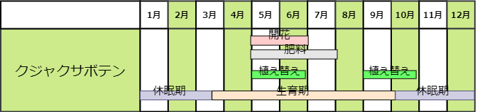 クジャクサボテンを美しく咲かせる育て方のポイント 農家web