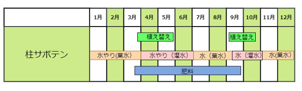柱サボテンの育て方 水やり 肥料 植え替え 季節ごとのポイント 農家web