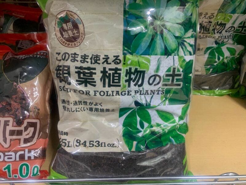 手軽で簡単 100均グッツだけ始める多肉植物の栽培 農家web