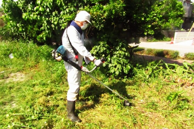 圃場の周りを刈払機で草刈りしている様子