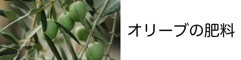 オリーブの肥料のやり方の基本 おすすめ商品まとめ 農家web