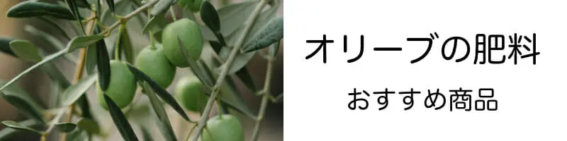 オリーブにおすすめの肥料一覧 農家web オリーブにおすすめの肥料一覧 農家web